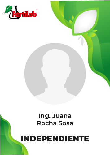 Testimonio Ing. Juana Rocha Sosa