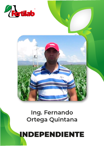 Testimonio Ing. Fernando Ortega Quintana