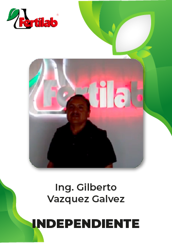 Testimonio Ing. Gilberto Vazquez Galvez