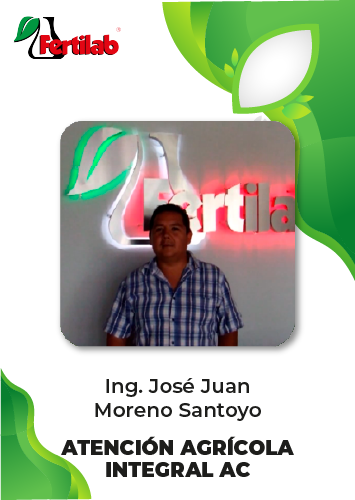 Testimonio Ing. Jose Juan Moreno Santoyo
