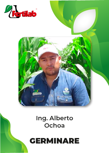 Testimonio Ing. Alberto Ochoa