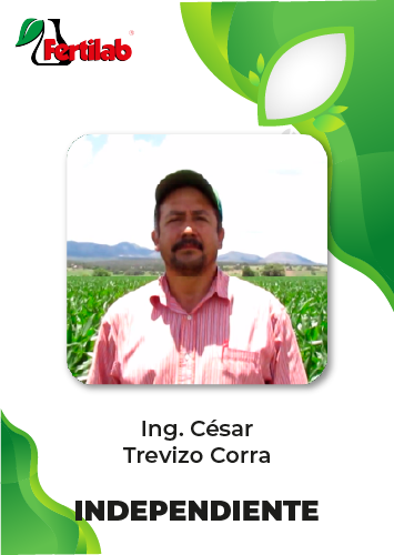 Testimonio Ing. Cesar Trevizo Corral