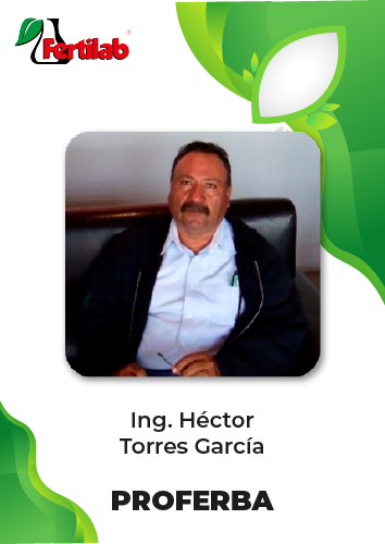 Testimonio Ing. Hector Torres García