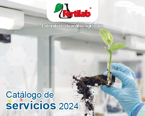 Catálogo de Servicios